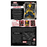 Deadpool & Wolverine Marvel Legends Wolverine 6-Inch Action Figure by Hasbro