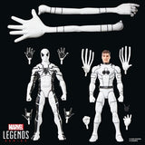 Marvel Legends Series Future Foundation Mister Fantastic & Spider-Man 6-Inch Action Figures BY HASBRO
