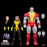 IN STOCK! X-Men Marvel Legends Kitty Pryde & Colossus 6" AF 2-PACK BY HASBRO