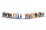 Jada Die Cast Metalfigs WWE 20-Pack Figurines Toys R Us Exclusive - 219 Collectibles